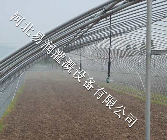 水肥一体化系统|浙川县中药材微喷头经久耐用