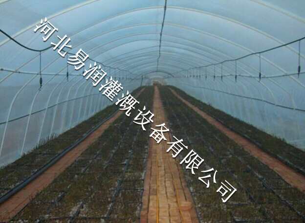 微喷头生产商 浙川县中药材喷灌水肥一体化系统