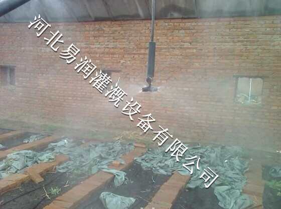 中药材喷灌微喷头专业生产 精品微喷头现货