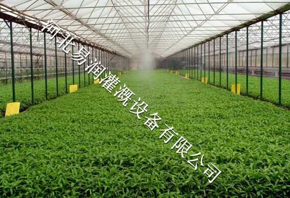 高品质微喷头批发 中药材微喷头喷灌管材批发