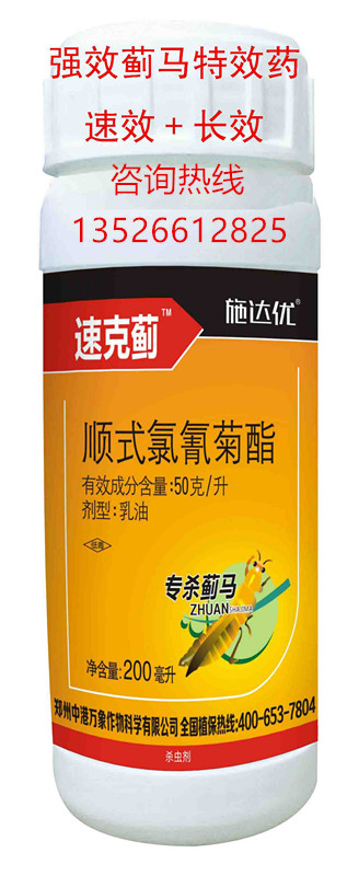 安徽蔬菜基地专打抗性蓟马瓜蓟马的防治专家厂家直销