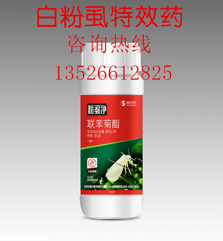 安徽蔬菜大棚抗性粉虱專殺煙粉虱的防治專家 無殘留