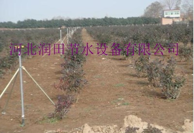 晋城市大喷头安装指导  高平市旋转喷头使用