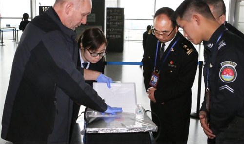 上海水果进口代理公司 禹励供
