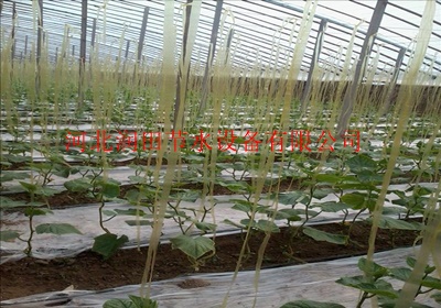 晋城市节能滴灌管 阳城县大棚滴灌项目专用出水管