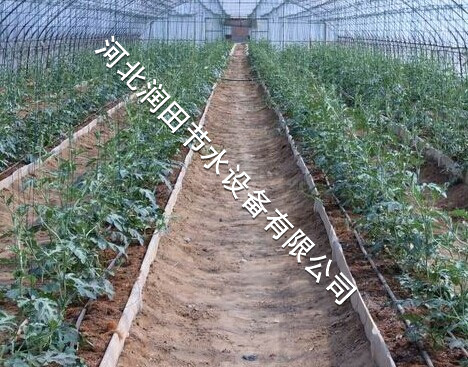 晋城市圆柱式滴灌管安装 阳城县优质滴灌管低价