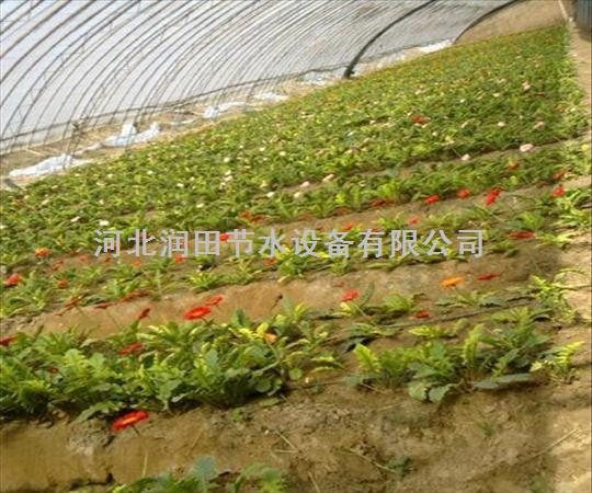 阳城县晋城市大棚滴灌带 水肥一体化工程专用