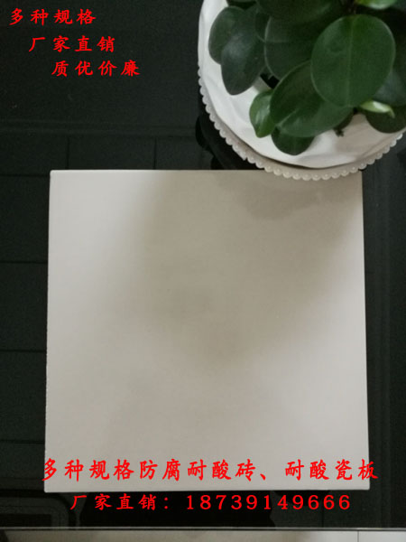 耐酸砖厚度65厚耐酸标砖砌块耐酸砖