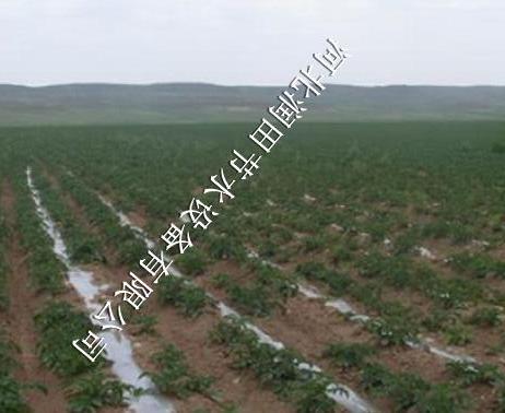 衡水市棉花滴灌用具 冀州区圆柱式滴灌管
