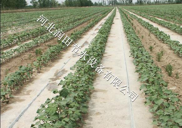 冀州区滴灌设备 衡水市供应水肥一体化滴灌管