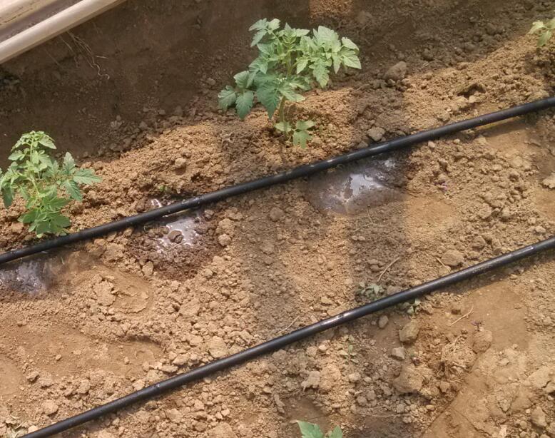冀州区生产滴管带 衡水市棉花滴灌专用滴灌带