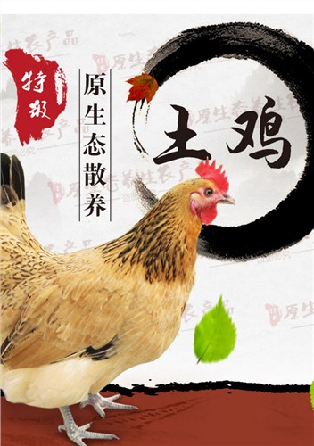 新鲜蔬果批发,天然农产品供应商,马陆葡萄种植基地,小麦公社