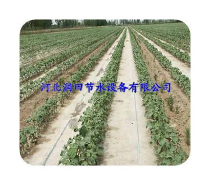 河北贴片式滴灌带 16*20*0.2mm 质量上乘耐用