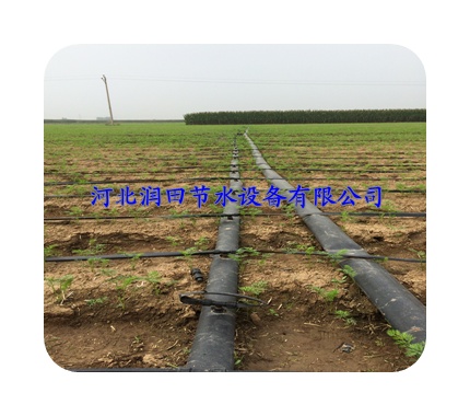 河北大田滴灌滴水带效果好 抗老化