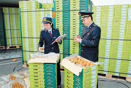 上海芒果进口报关代理公司