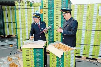 上海龙眼进口报关代理公司