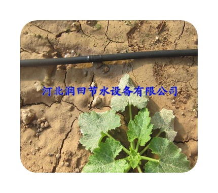 河北胡萝卜大田滴灌专用滴管带