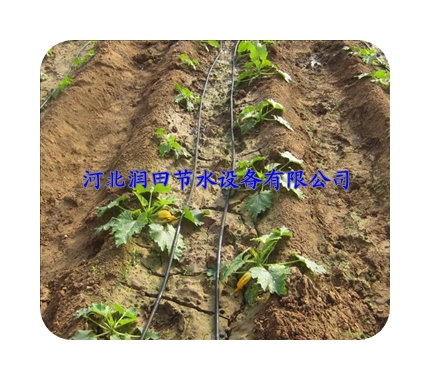 河北胡萝卜大田滴灌专用滴管带规格