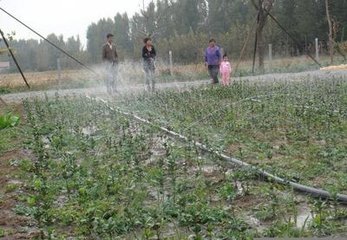 河北邢台小麦玉米微喷 滴灌厂家 生产多种型号微喷带