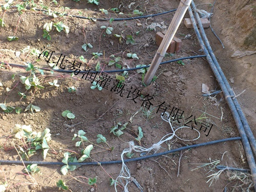 普通滴水管价格合理 滴灌管正阳县有售