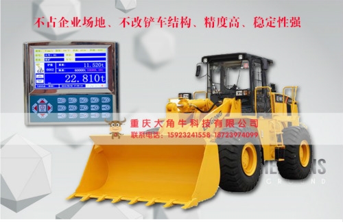 铲车秤 地磅 皮带秤贵州地磅找哪家好,仪器仪表值得信赖