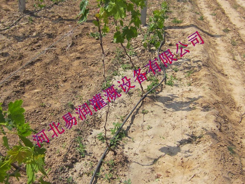 山西优质滴灌管PE滴灌管管