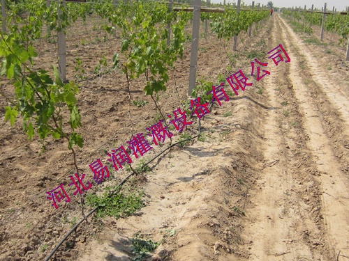 优质 滴灌管 山西浇水塑料管管生产厂家