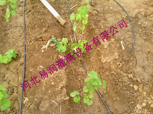 滴灌管价格 山西浇水塑料管管质优价廉