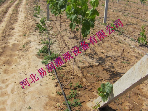 山西滴灌管过滤施肥PE滴灌管管优质产品