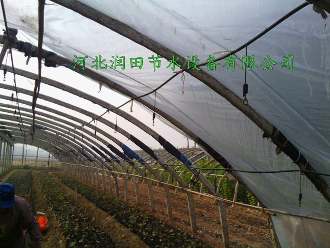 大棚番茄喷灌 吊旋微喷头|河北邢台水肥一  体化