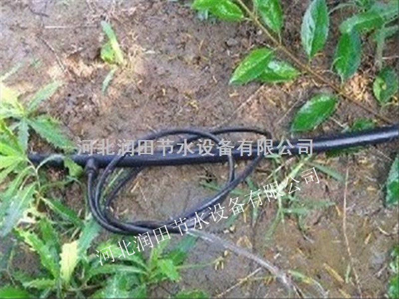 威县草莓滴灌|配套稳流器|小管出流滴灌  厂家