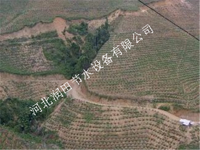 河北威县草莓滴灌|果树滴灌多少钱一套