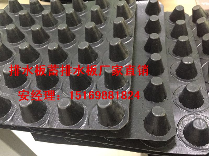 2公分蓄排水板南昌1.2公分车库排水板