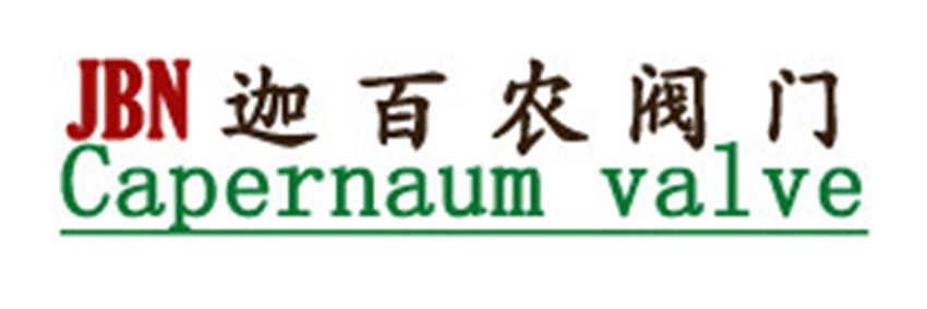 浮球视镜. 不锈钢视镜|迦百农阀门