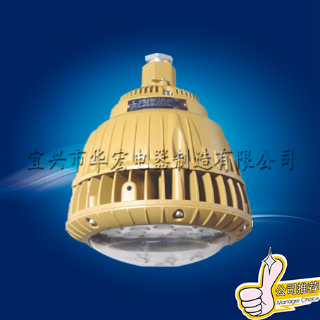 BAD85 LED防爆灯 防爆 节能LED灯