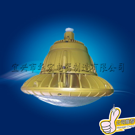 BAD808-I LED防爆灯 防爆 节能LED灯