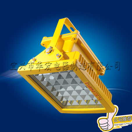 BAD808-L2 LED防爆灯 防爆照明灯具