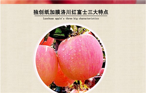 pe-rt II预制直埋管pe-rt II温泉保温管铝合金衬塑ppr复合管飞宇供
