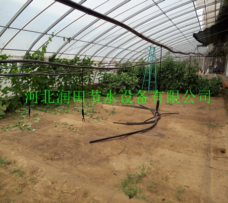 衡水市桃城区平菇大棚旋转喷头系统设计