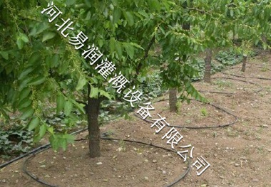 小管出流规格 伊川县橘子果树滴灌水肥一体化