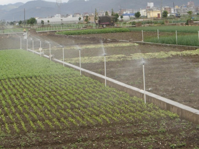 石家庄大田喷灌设备\厂家直销喷洒角度  0-360度可任意调节喷头