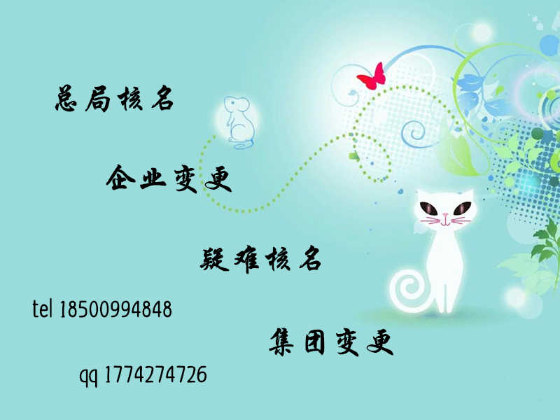 总局核名 办理程序