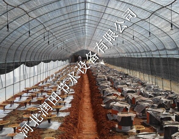 长子县指导安装微喷头 长治市可靠旋转微喷头