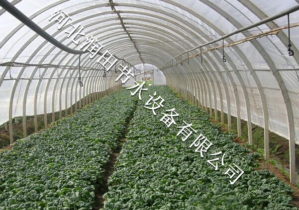长治市雾化微喷头现货供应 长子县大棚微喷头报价