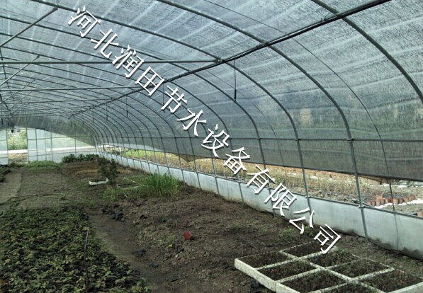 平菇加湿 河北邢台蔬菜微喷头及文丘里吸肥器