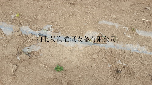 农田灌溉滴水带等节水设备 怀来县 滴灌带放心省心