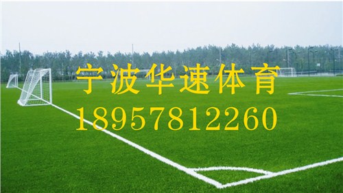 七人制足球场厂家*十一人制足球场厂家*宁波华速