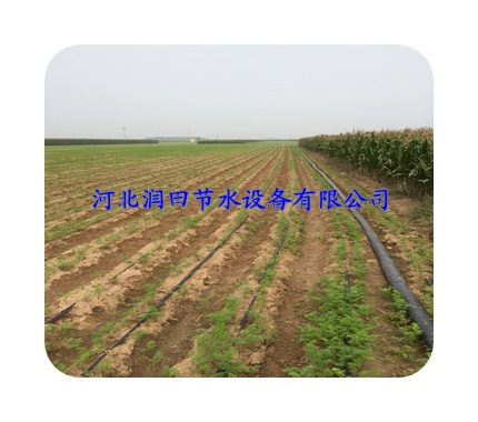 山西平遥大田滴灌欢迎选购 优质的滴灌带灌溉产品