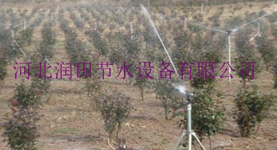淮滨县大流量金属摇臂喷头 信阳市公园绿化喷灌大喷头