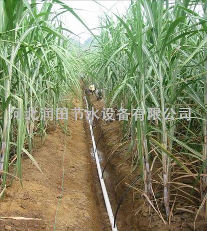 汉中市马铃薯灌溉质量好微滴带 南郑县定做大田滴灌带